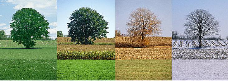 经典弹幕射击《式神之城2》追加要素 12月登Switch＆PC